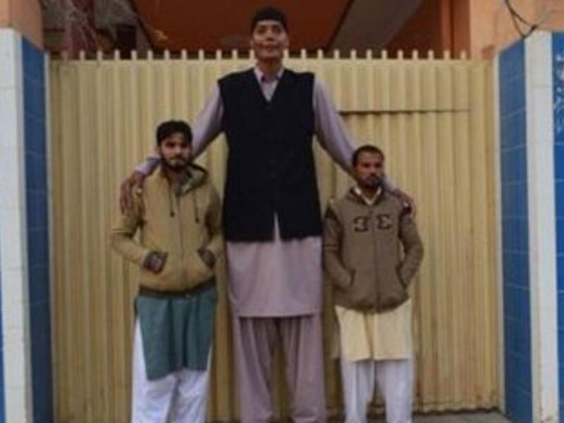 Zia Rashid (Twitter)