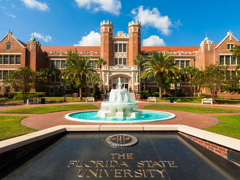 Florida University (Shutterstock)
