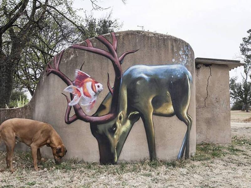 (Facebook/ Falko One)