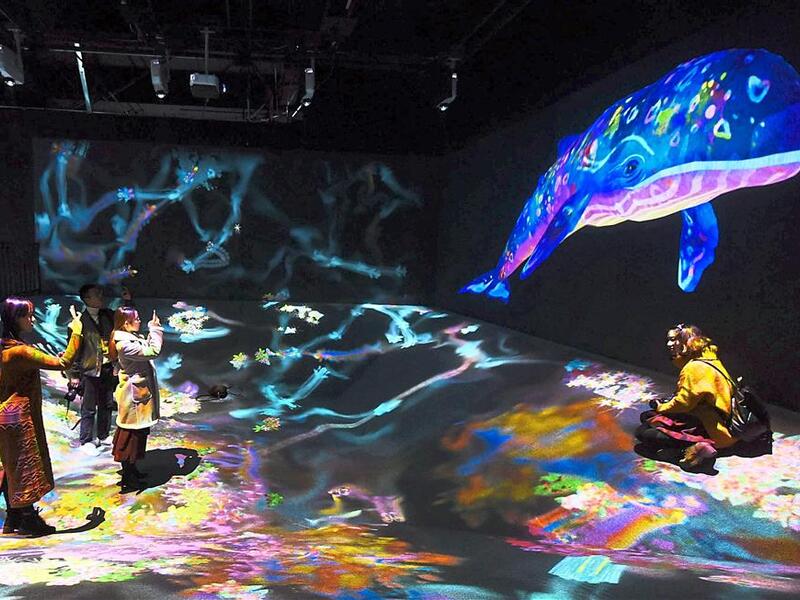 Visitors taking snapshots at the ‘teamLab: Dance Art Exhibition, Learn And Play Future Park’ held in Hangzhou in China’s eastern Zhejiang province late last year. (AFP/ File)