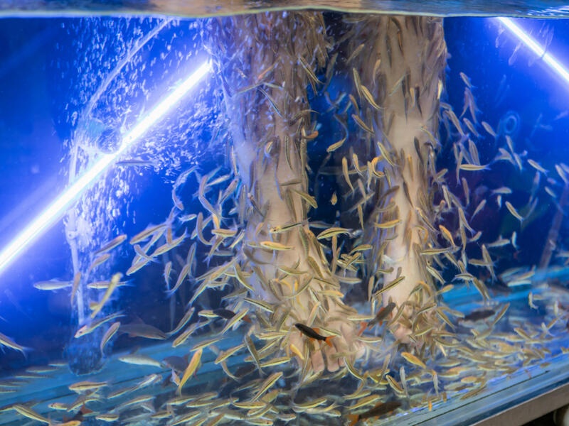 (Shutterstock/ File Photo)