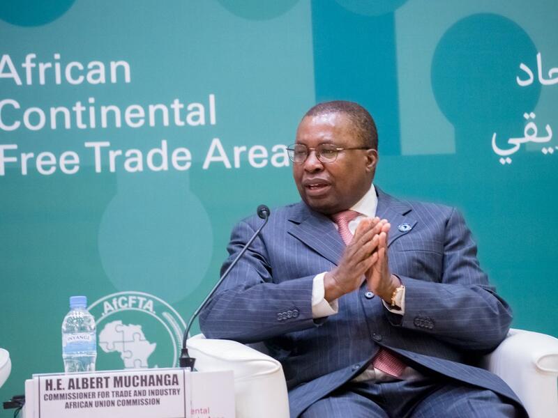 Albert Muchanga, African Union commissioner for trade and industry. (@AmbMuchanga/ Twitter)