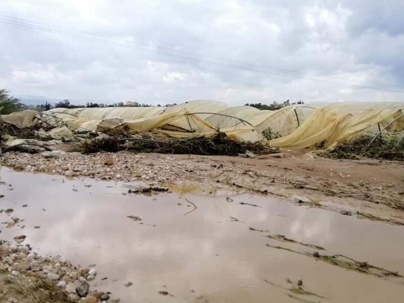 Losses of farmers due to the opening of the King Talal Dam water. (Twitter)