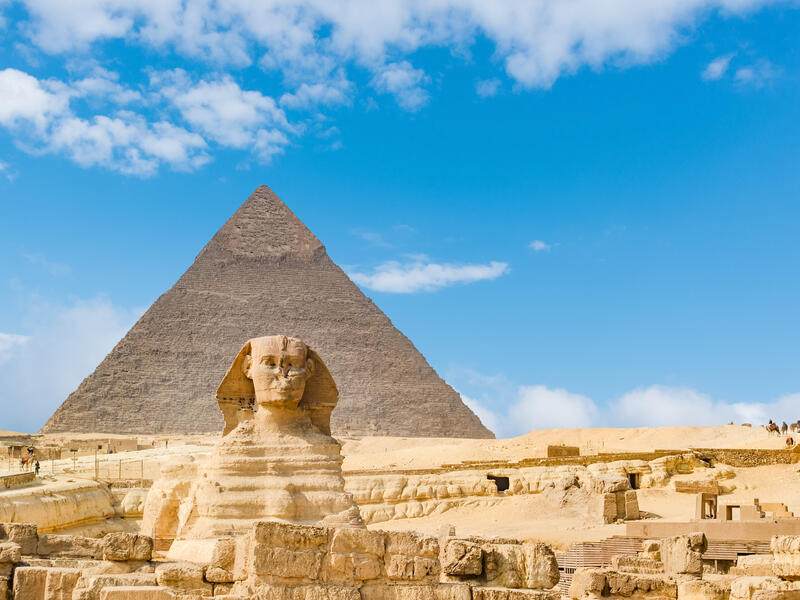 The tomb contains tens of statues, coffins and mummies. (shutterstock)
