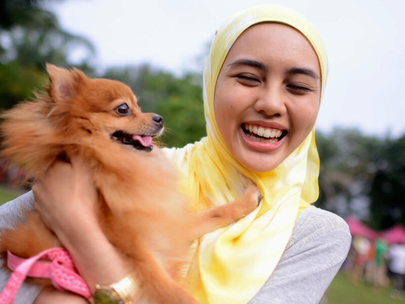 Islam and dogs
