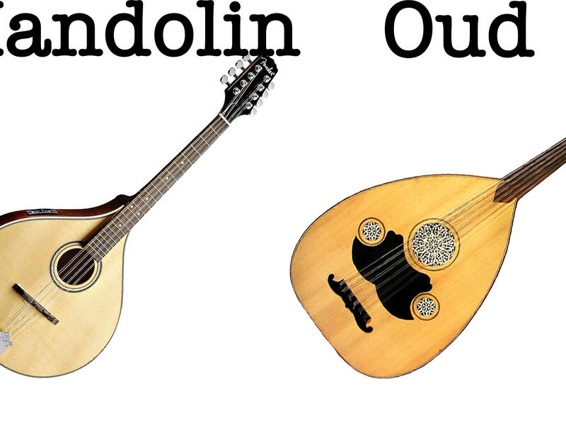 mandolin