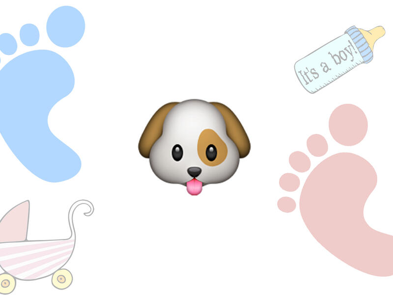 Jirwan (male): Some parents need to be put on a leash, especially those who name their kids “puppies,” aka Jirwan. FYI: Your child isn’t your new pet!