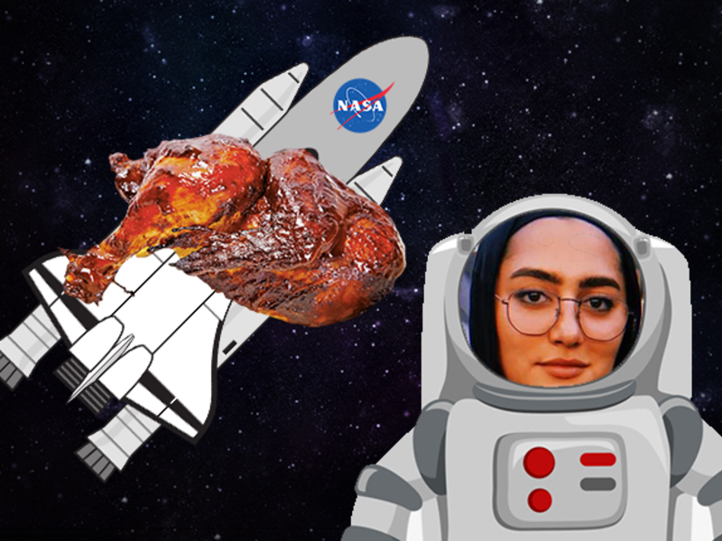 Sarah Abulkheir, an Egyptian AUC student who fooled people into a prank about a BBQ party with NASA. (Socialmedia)