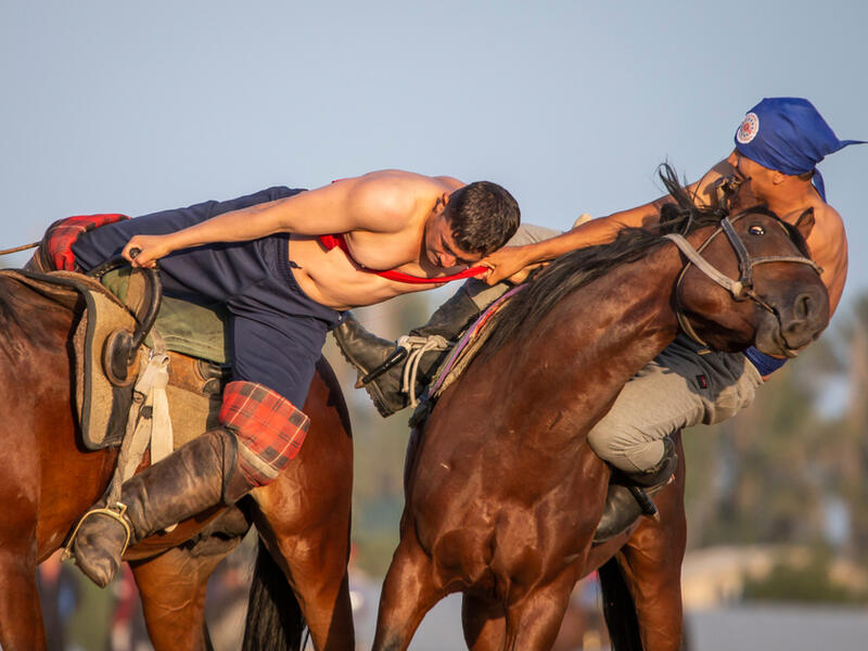 Men wrestling on horseback (Shutterstock/File Photo)
