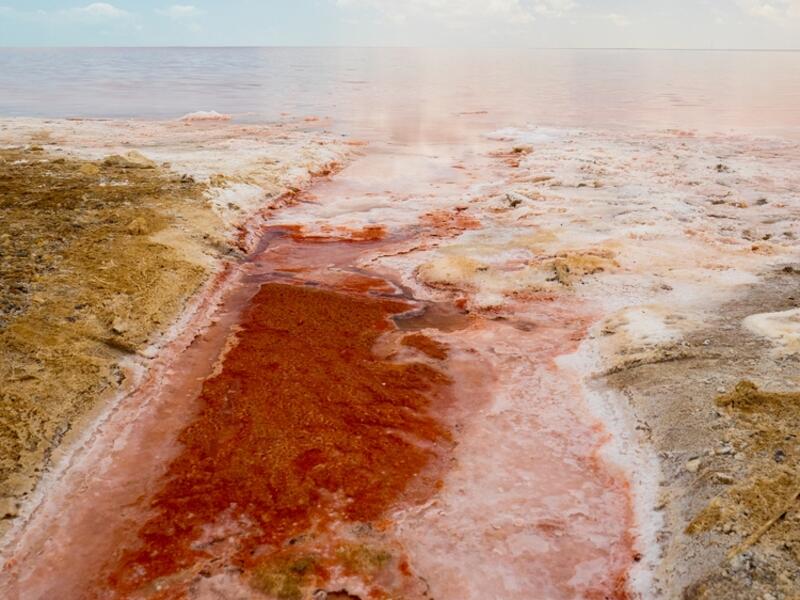 Pink lakes on oman  (Shutterstock/File Photo)