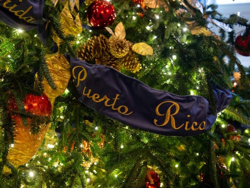 Christmas decorations are seen at the White House during a preview of the 2018 holiday decor in Washington, DC, on November 26, 2018. 
NICHOLAS KAMM / AFP