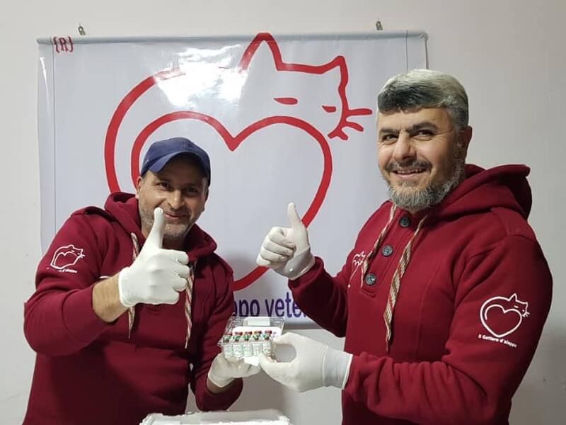 (Twitter/@theAleppoCatman)