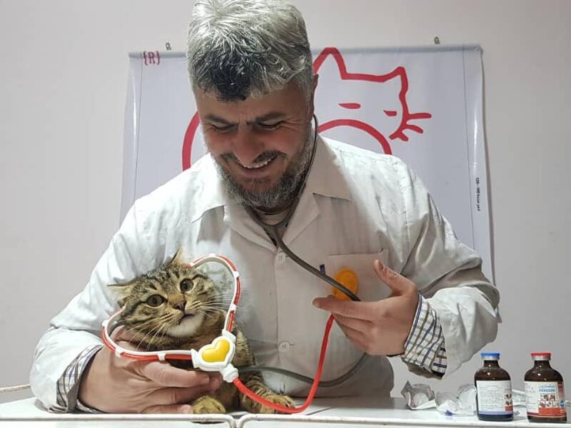 Mohammed Alaa al-Jaleel has been an animal lover and especially cats since his childhood. 
(Twitter/@theAleppoCatman)