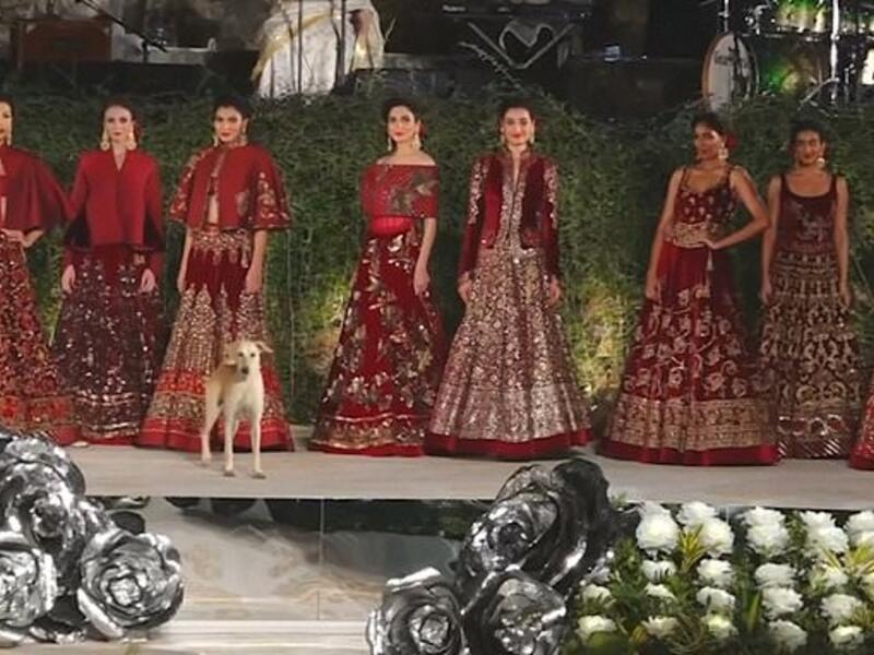 Glitzy Fashion Show in India. (Twitter)