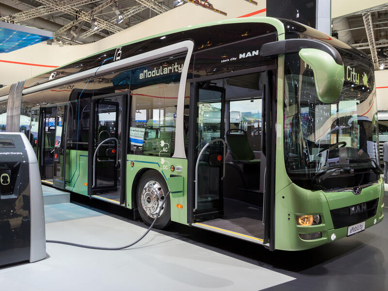 (Shutterstock/ File Photo)