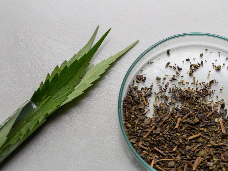 (Shutterstock/ File Photo)