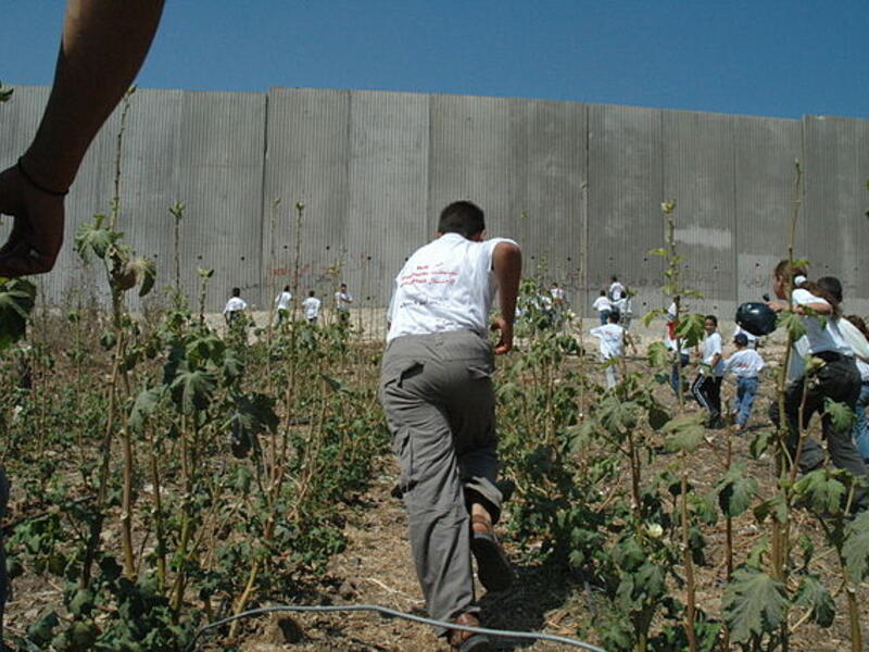 Agriculture in the occupied West Bank has been hit hard by Israeli exploitation of water resources (Wikimedia)