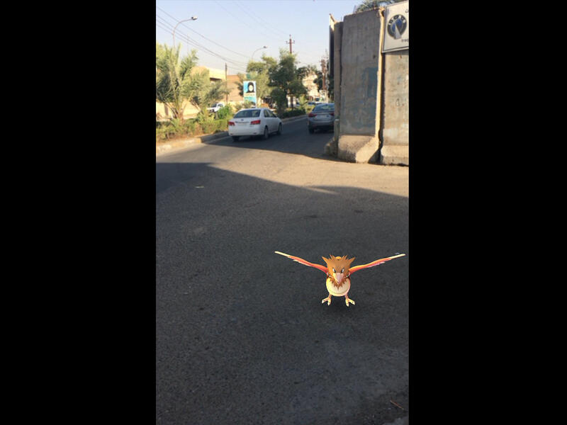 Hayder Shakeri Pokemon Baghdad Iraq