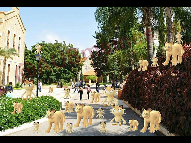 American University Beirut Lebanon Pokemon
