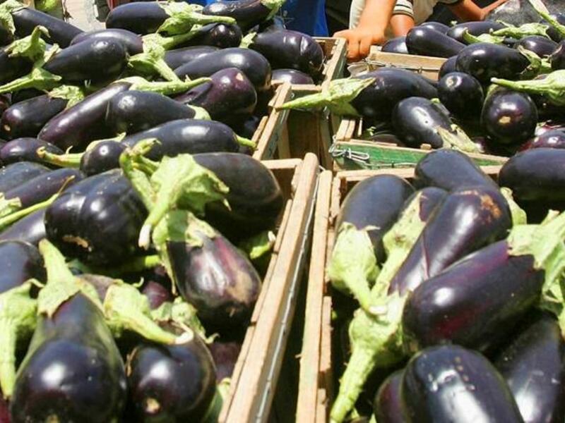 Eggplant (or aubergine) -- a likely prohibited member of the squash family, though the Arabian and  Mediterranean popular veg did not get explicitly cited in the unnamed clerics taboo examples.