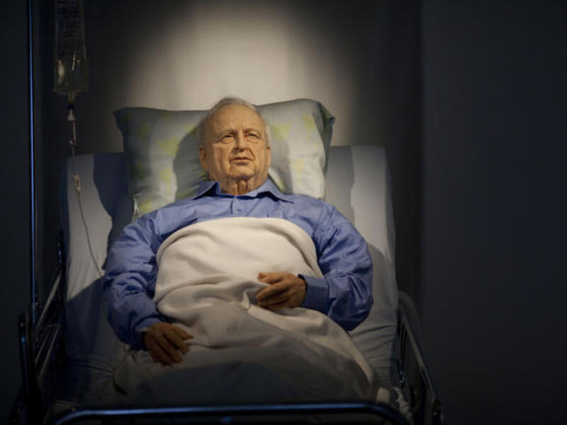 Ariel Sharon has been sleeping for over 5 years. He responds to pokes & opens his eyes reflexively. The 82 year-old, war hero 
to some, war criminal or alternatively Butcher-Bulldozer to others, led & 'defended' Israel 2001-2006, staunchly in the name of 
security, but now finds himself increasingly defenseless against a rapidly changing region.