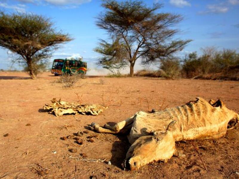 2.2 million out of 3.7 million Somalis remain at risk of dying. It is common for Muslims to take care
of the poor through alms-giving all year-round, which is upped at Ramadan. Public tents are erected to feed 
the needy. In Jordan & Lebanon this can include the dispossessed Palestinian refugees.
