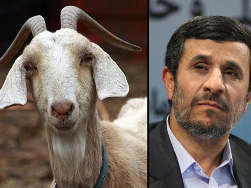 Ahmadinejad goat