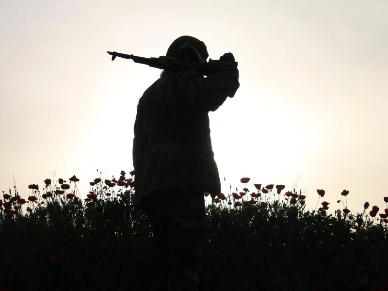 A Syrian opposition fighter walks in a poppy field in Deraa, April 10 2017. (AFP/Mohammad Abazeed) 