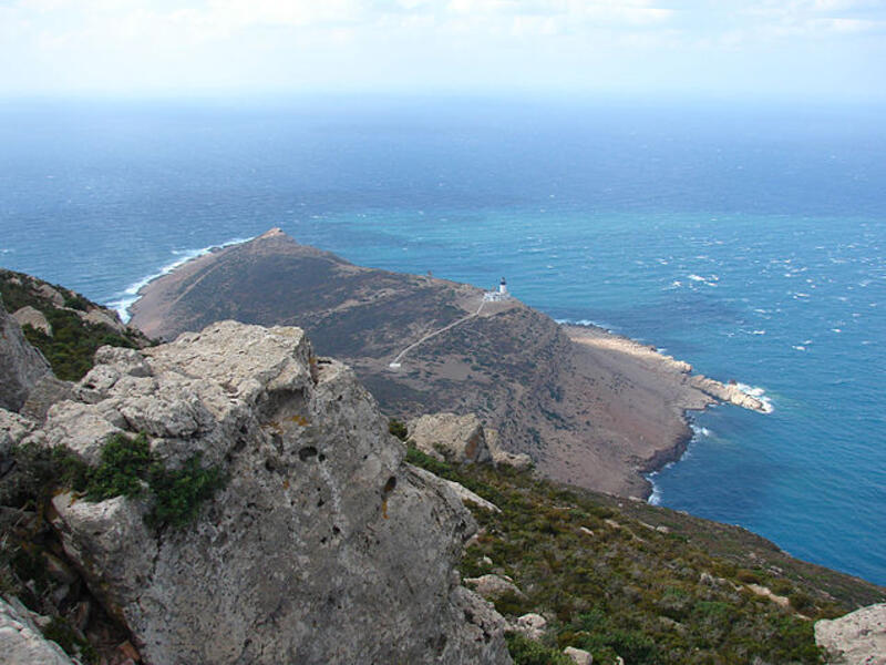 The dam project will provide more irrigation water to the region of Cap Bon. (Wikimedia Commons)