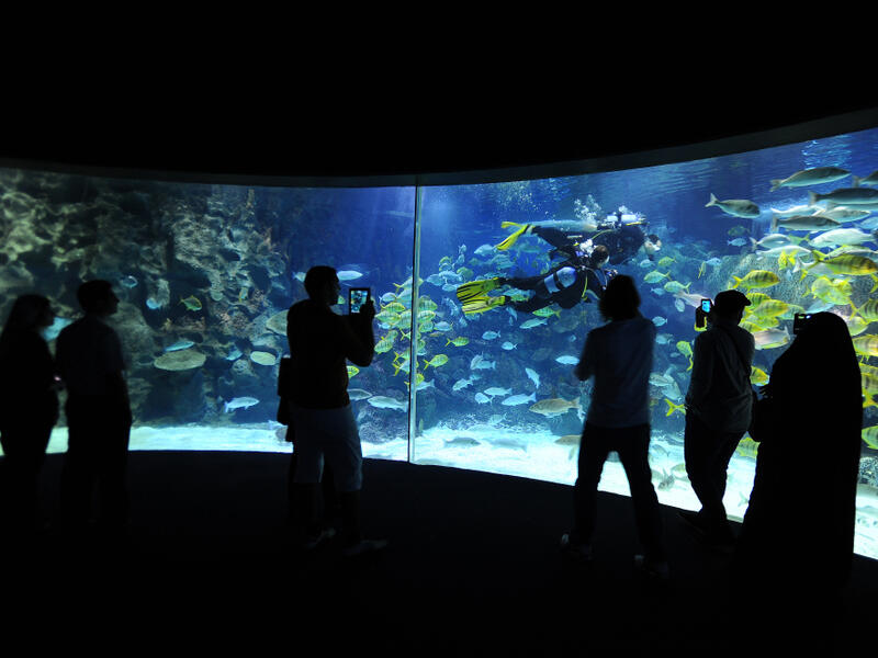 People in silhouette look at the fish and corals in the aquarium tank. (Shutterstock/ File Photo)