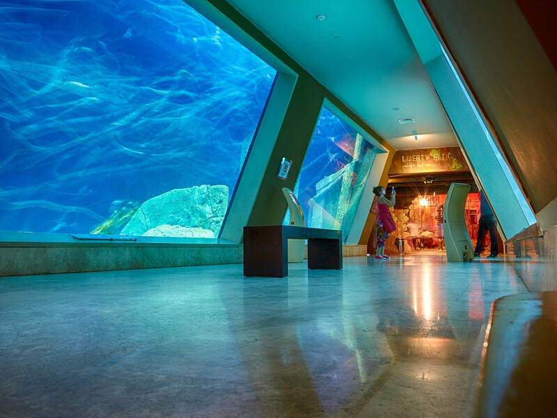 The interior of Istanbul Sea Life Aquarium TurkuaZoo. (Shutterstock/ File Photo)