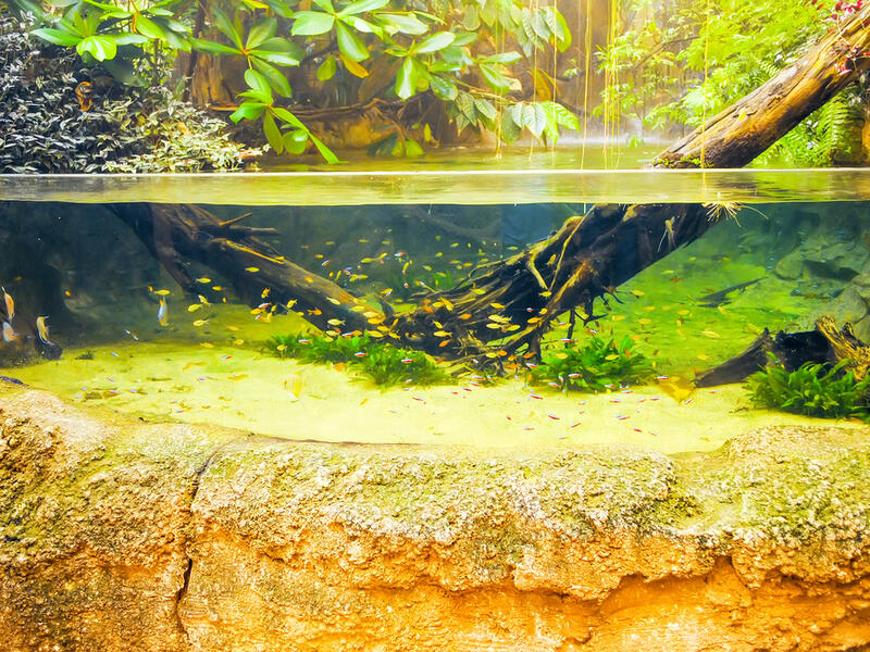 Istanbul Aquarium. (Shutterstock/ File Photo)