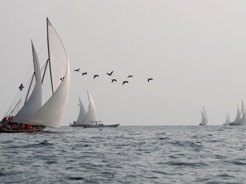Emirati competitors sail their dhows as they take part in the Dalma Sailing Festival. (KARIM SAHIB / AFP)
