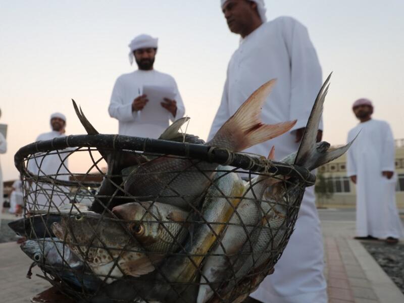 Emiratis stand by fish caught in the crescent fishing contest thread during the Dalma Sailing Festival. (KARIM SAHIB / AFP)
