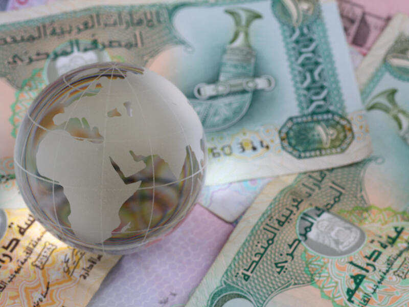 One of the key sectors that have seen an uptick in FDIs include wholesale and retail trade. The total foreign direct investment in this sector amounted to about $29.8 billion, with a contribution of 24.9 percent of the total FDI inflows in the UAE. (Shutterstock)