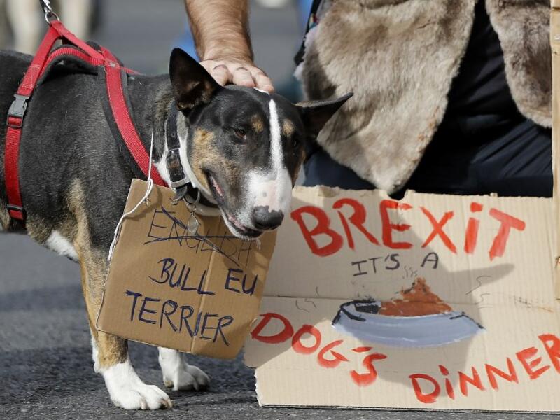 Dog owners and their pets gather before participating in a pro-EU, anti-Brexit march, calling for a "People's Vote on Brexit", in central London. (Tolga AKMEN / AFP)