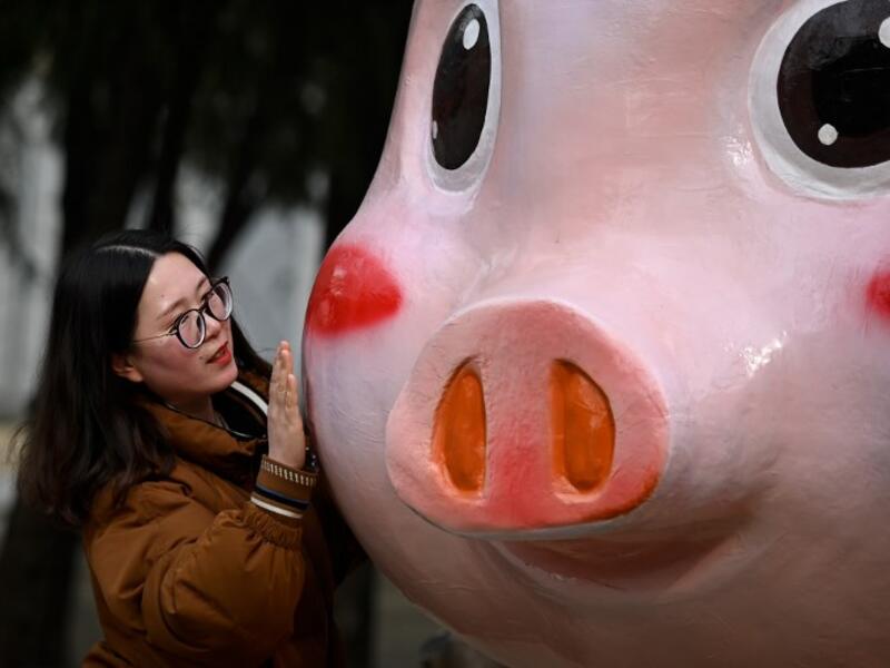 A woman prepares to pose for a photo with a pig figurine at a park ahead of the upcoming Lunar New Year in Beijing on February 2, 2019. 
WANG Zhao / AFP