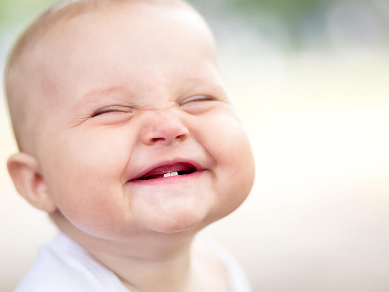 The three-month-old’s first overseas holiday, which involved a flight to Orlando in Florida, was subsequently refused by authorities. (shutterstock)