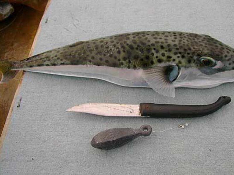 The young man earned his living as a fish seller (File)