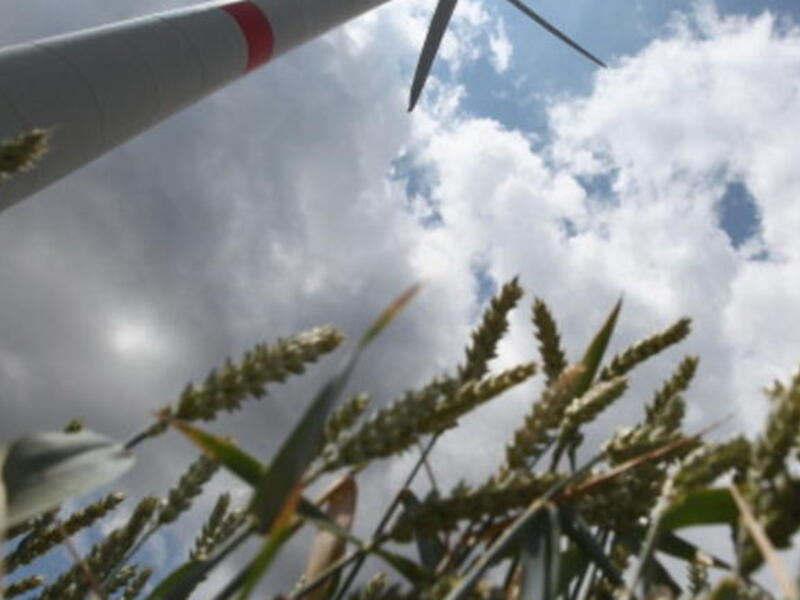 To achieve green development, new mechanisms are required to promote innovation and technology diffusion