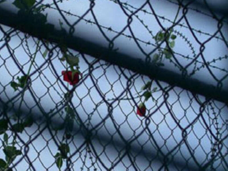 Ali spent three years in prison after being deported to Iraq after lying about his homeland. [blogspot]
