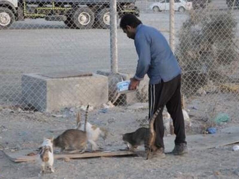 A scene from the short documentary "Feeding Five Hundred", which will compete in the Emirates Film Competition at this year's Abu Dhabi Film Festival. (Image courtesy of twofour54)