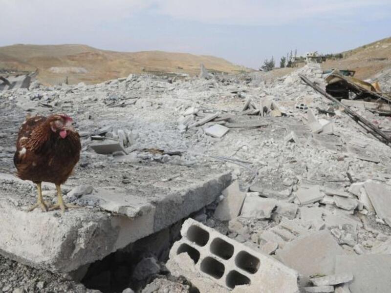 A lone chicken is seen in the rubble of the site where an Israeli airstrike struck Damascus earlier this month. AFP Image