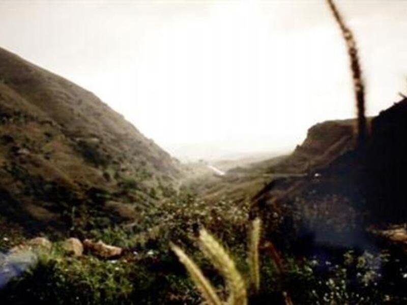 Abou Jamra sieves partisan sentiment though the camera's renderings of the south Lebanon landscape.