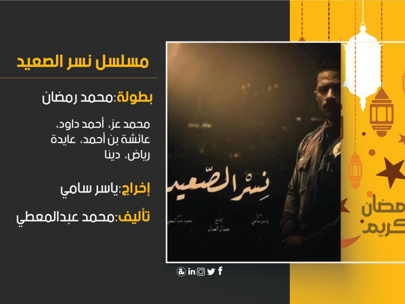 نسر الصعيد: تدور أحداثه حول الضابط الصعيدي "زين" والذي يخدم فى القوات المسلحة، يحبه الجميع فى منطقته، ويعتبرونه القدوة فى جميع المجالات، شهم، جدع، ابن بلد، رجل يتحمل المسؤولية ويتم قرار نقله إلى سيناء لمحاربة الإرهاب.