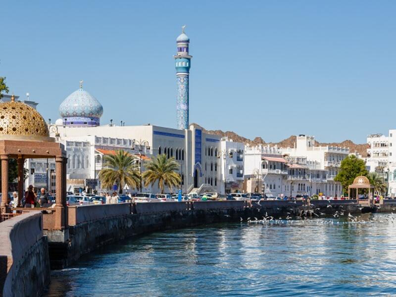 Oman Nano City Project is expected to be launched by 2023. (Shutterstock)
