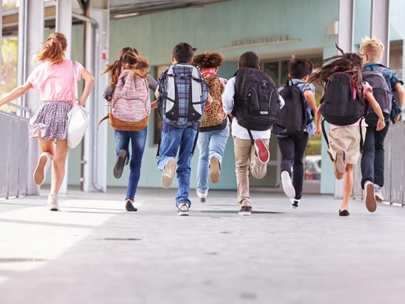 The initiative reflects the efforts of the Knowledge Fund to support the development of the education sector and encourage investment in education. (Shutterstock)