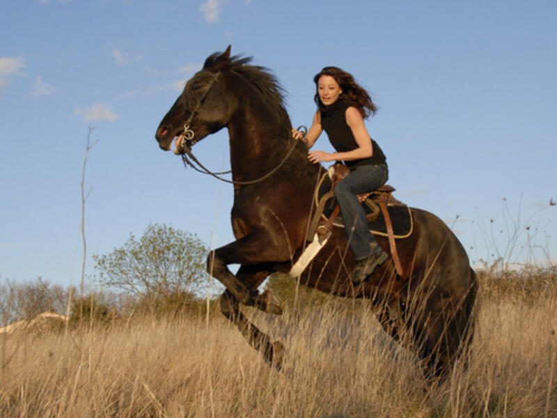 Horse-riding is a popular sport in the desert nation. (File photo) 