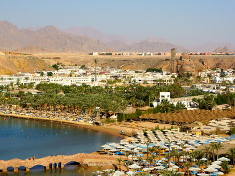 Egypt's government will promote 60 projects at the much-publicised economic development conference to be held in the resort town of Sharm El-Sheikh on the 13-15 March.