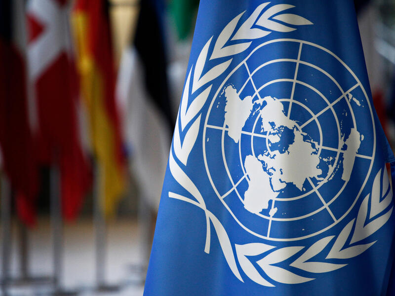 Flags of UN (Shutterstock/File Photo)